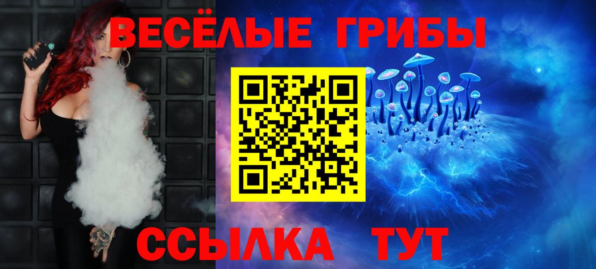 Галлюциногенные грибы Psilocybine cubensis Полевской