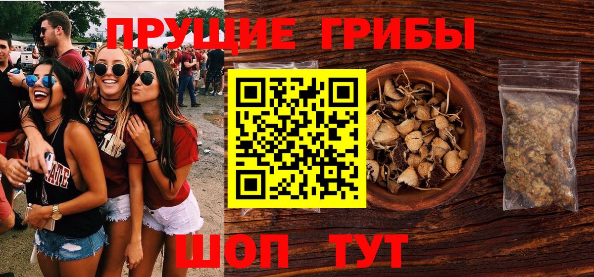 Полевской  Псилоцибиновые грибы мухоморы  Вход с VPN 